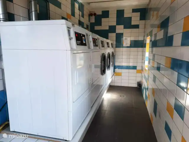 Le joyau de la forêt | Pays-Bas, Gueldre, Voorthuizen - chalet