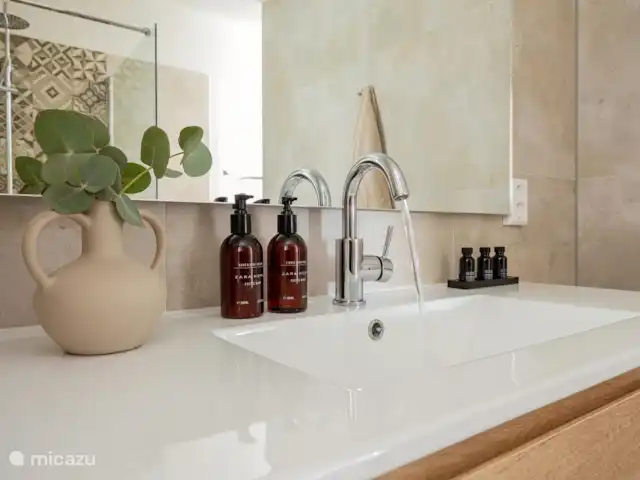 Dormir au bord de la mer | Pays-Bas, Hollande du Nord, Saint Martin - maison de vacances Photo de détail salle de bain au rez-de-chaussée (attenante)