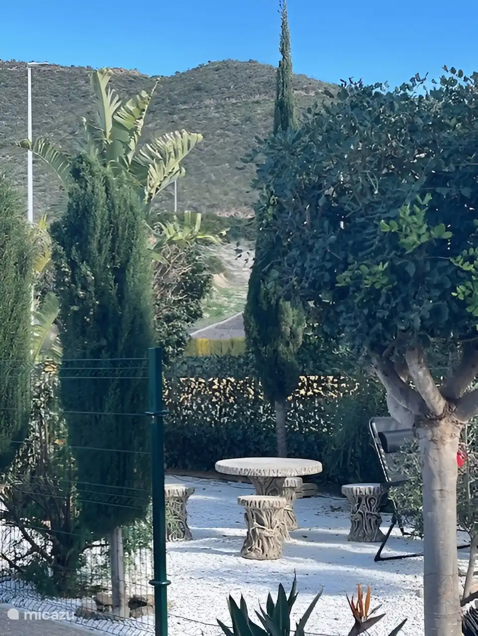 prachtige fruitbomen in de grote tuin