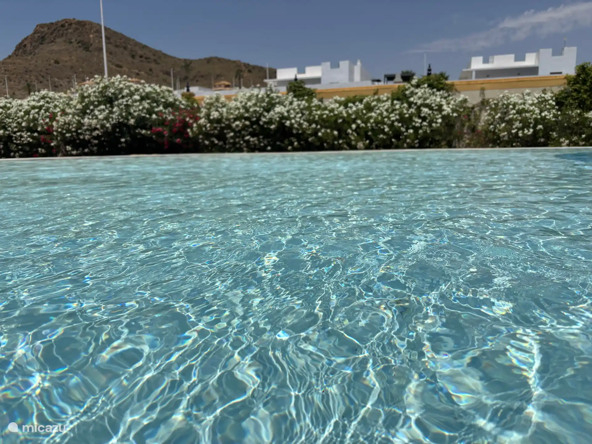Shallow end of the pool 