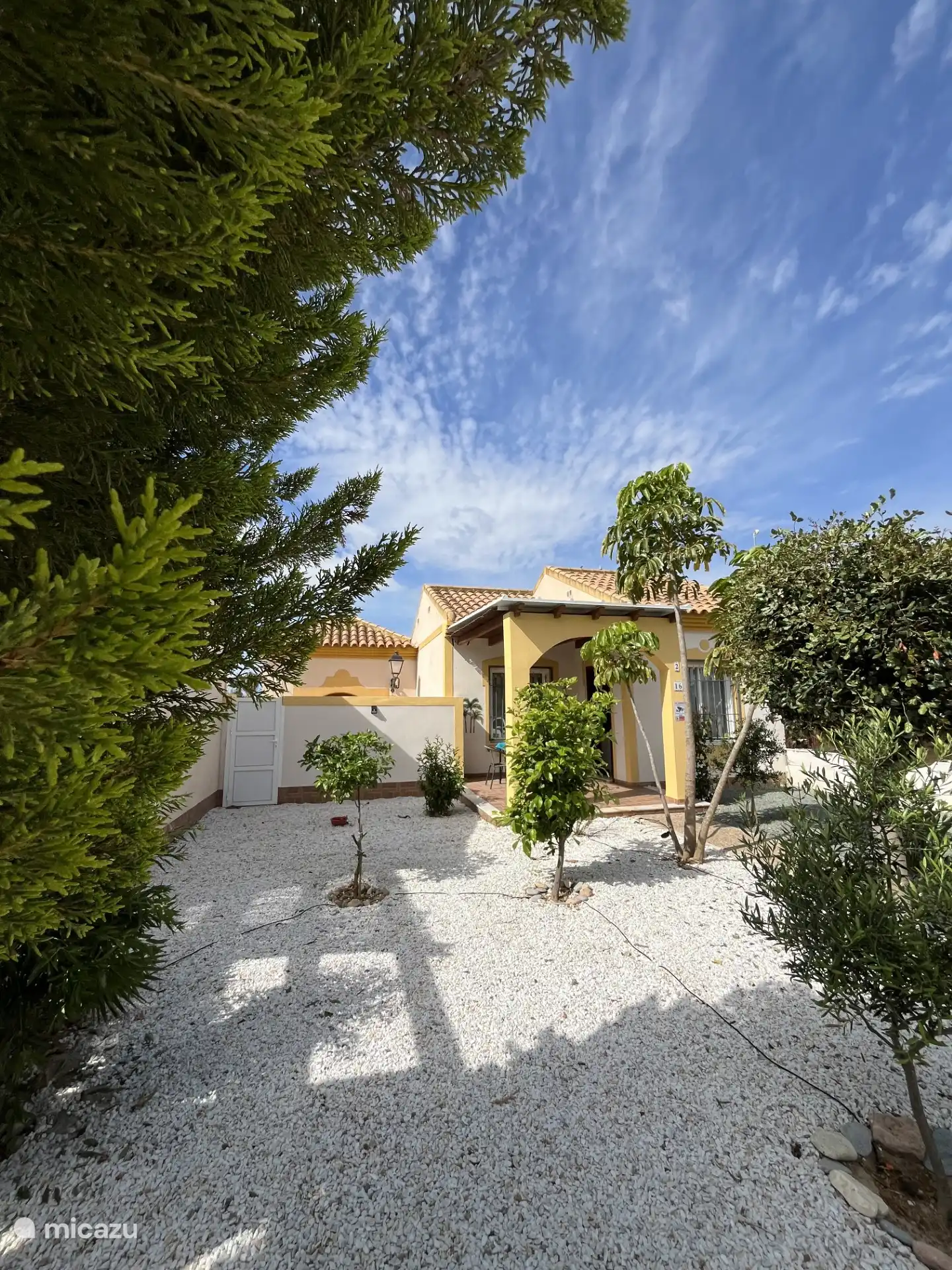 mehrere Obst- und Olivenbäume