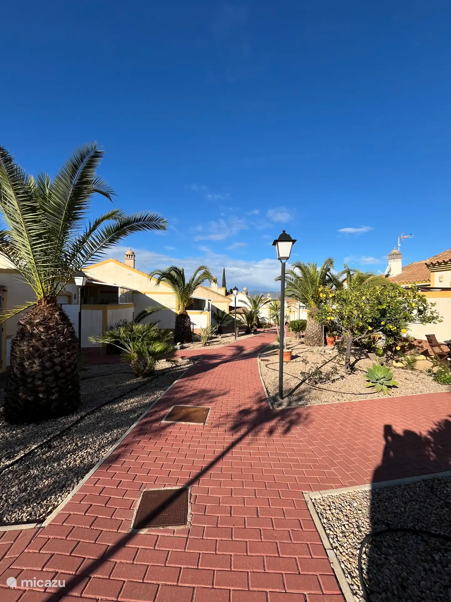 Gemeinschaftsgärten hinter dem Haus 