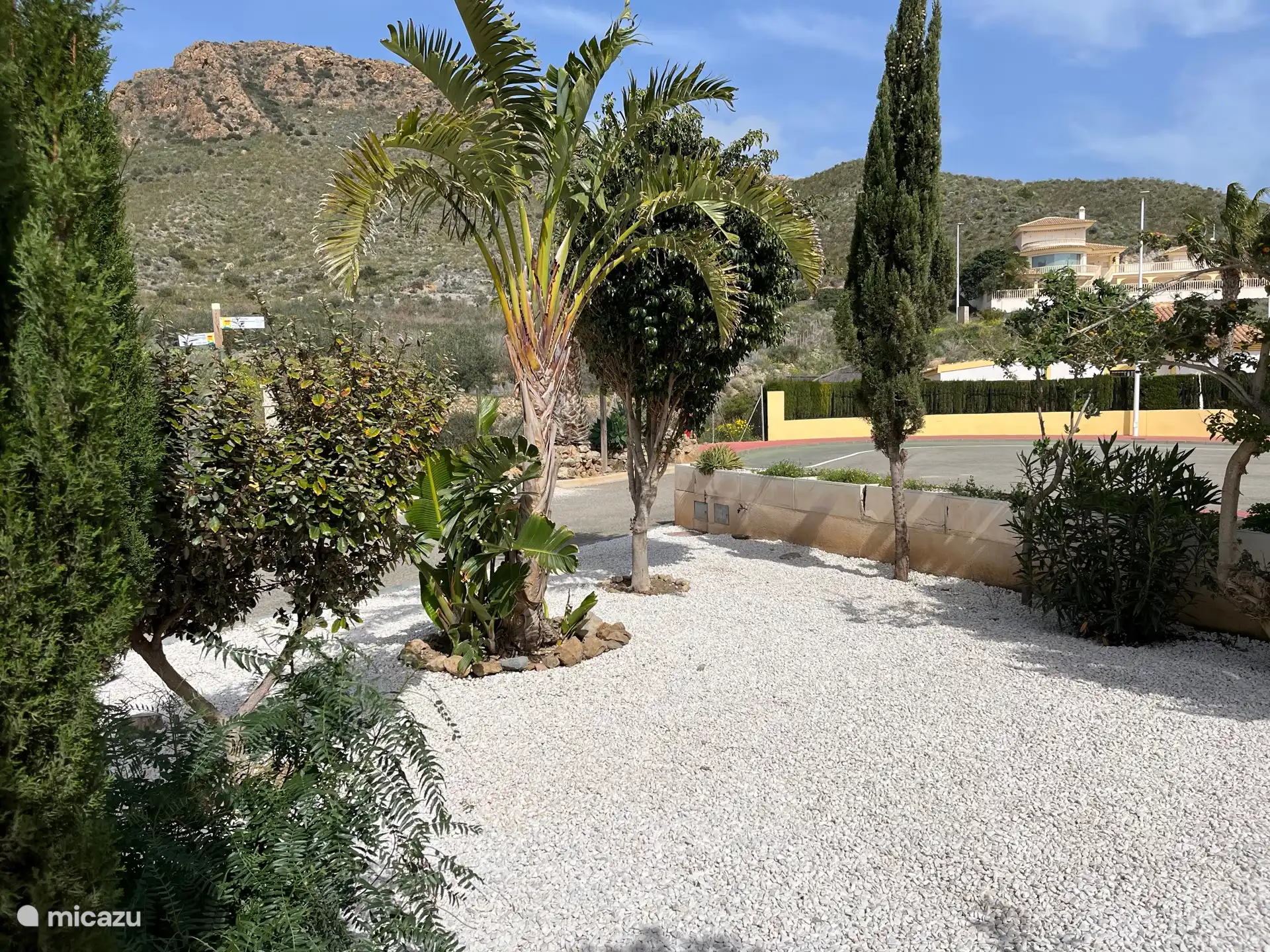 Schöne tropische Pflanzen und Bäume 