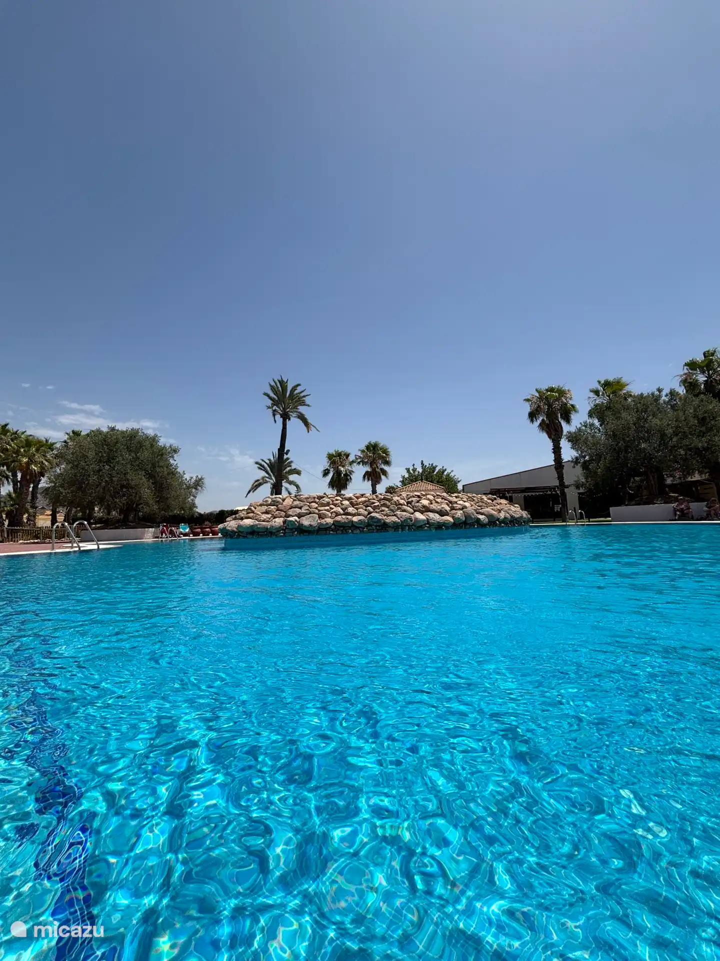 Beautifully landscaped with palm trees 