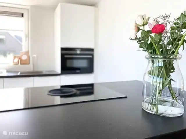 Hip à Sint Maarten | Pays-Bas, Hollande du Nord, Saint Martin - maison de vacances Photo de détail cuisine