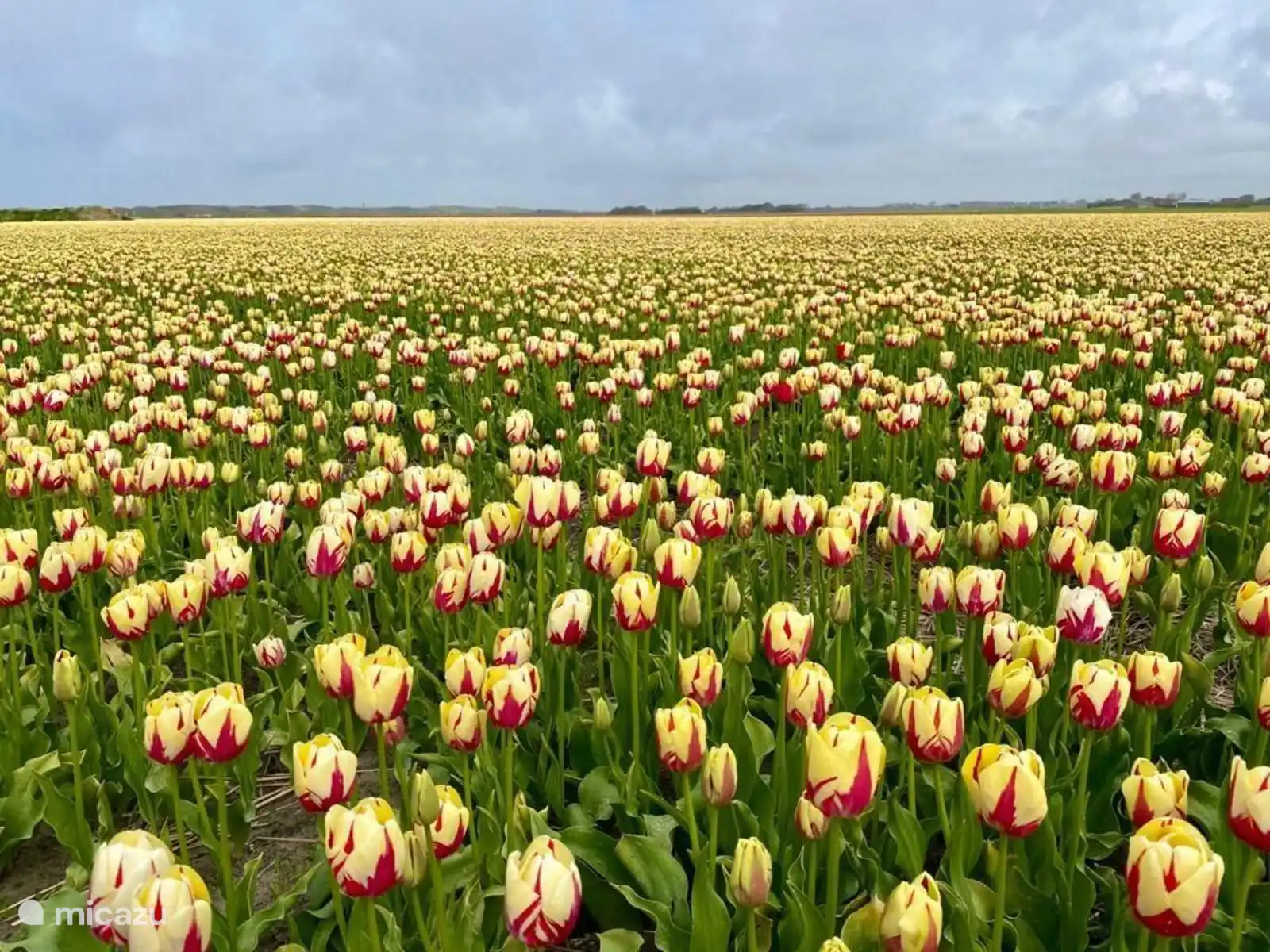 Surroundings of the holiday park