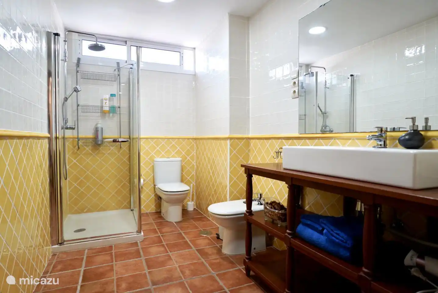 Badkamer met douche.