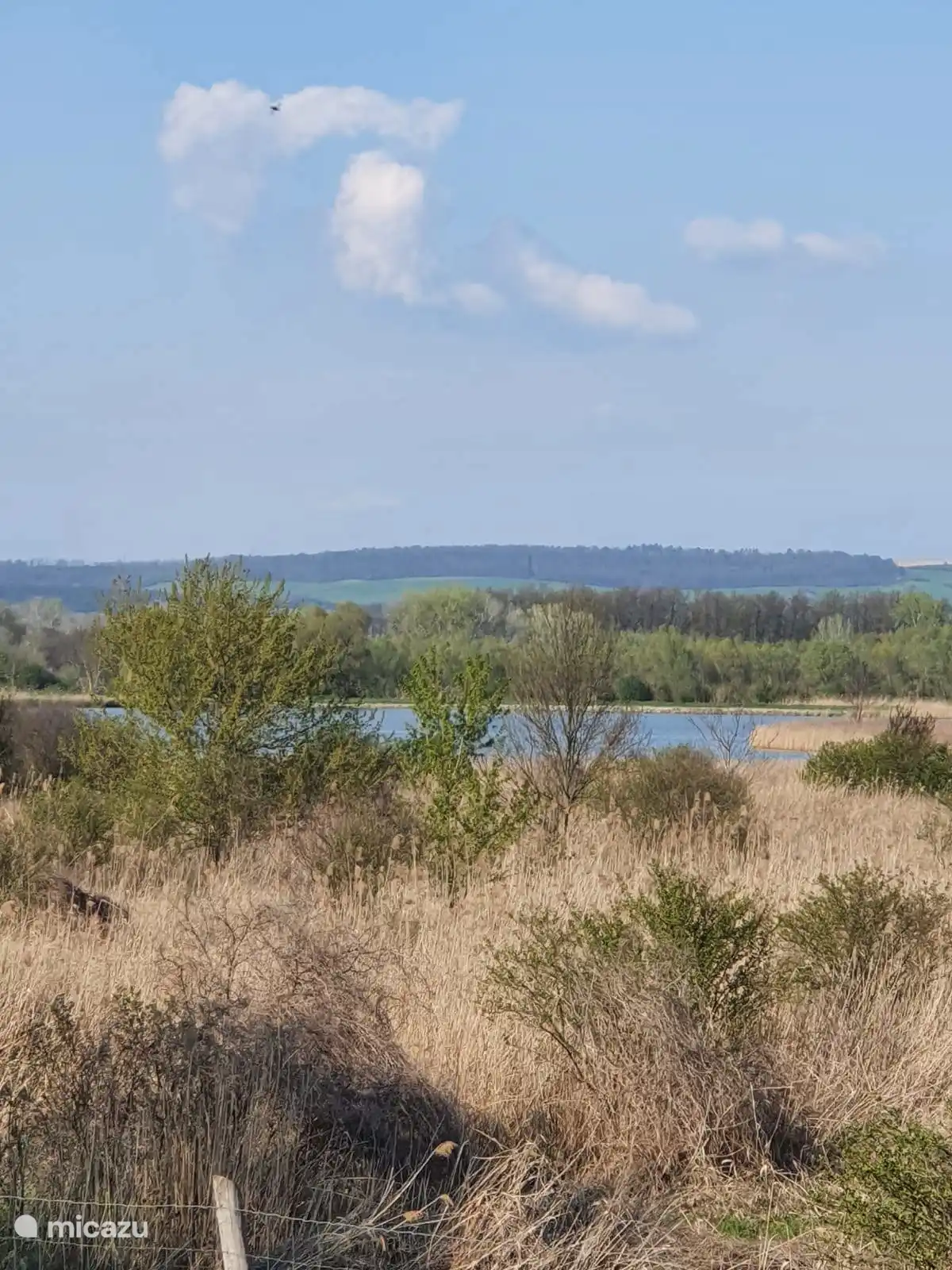 Vista de la casa delantera