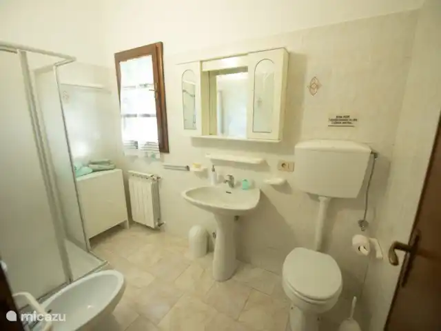 Le Rose huren in Italië, Toscane, Guardistallo - appartement bethroom