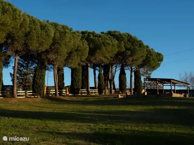 Le Rose huren in Italië, Toscane, Guardistallo - appartement
