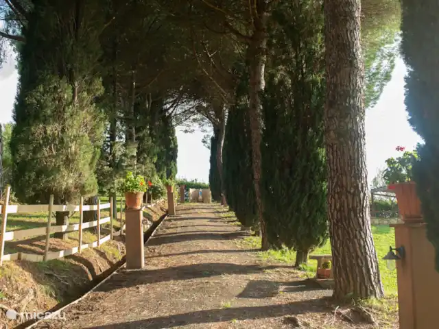 I Limoni huren in Italië, Toscane, Guardistallo - appartement