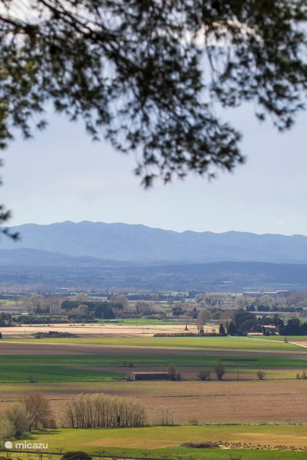 Uitzicht op de Baix Empordà