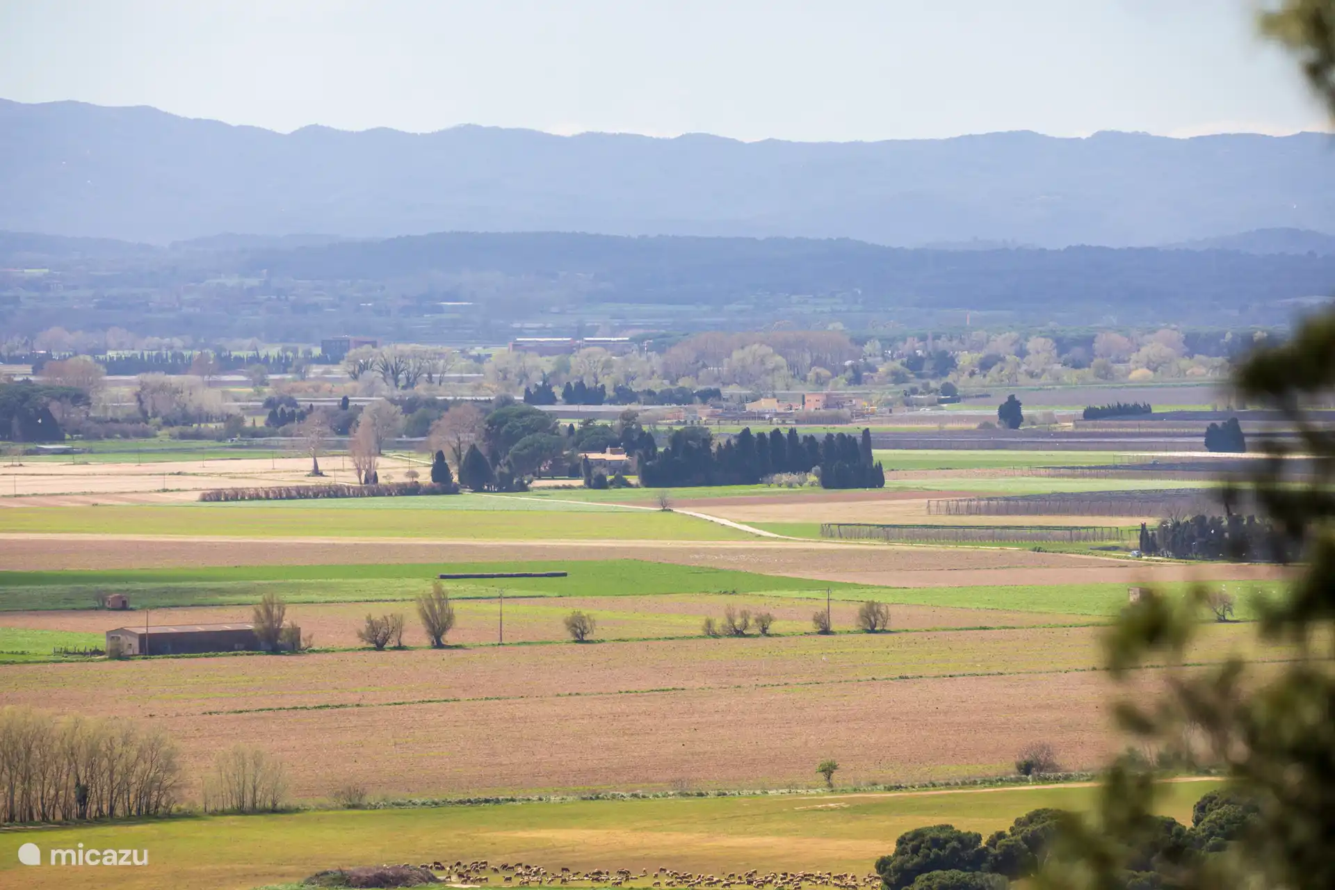 Uitzicht op de Baix Empordà