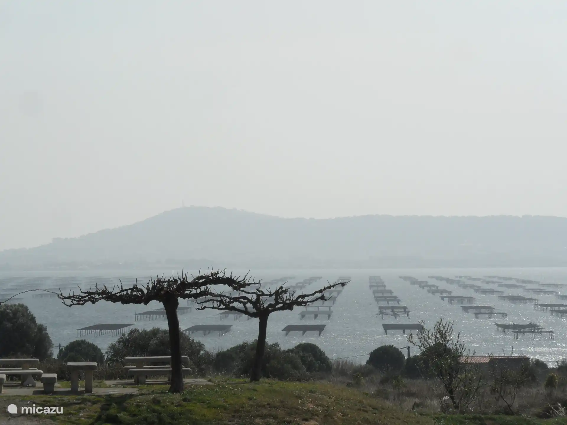 Blick auf Austernbänke im Étang de Thau