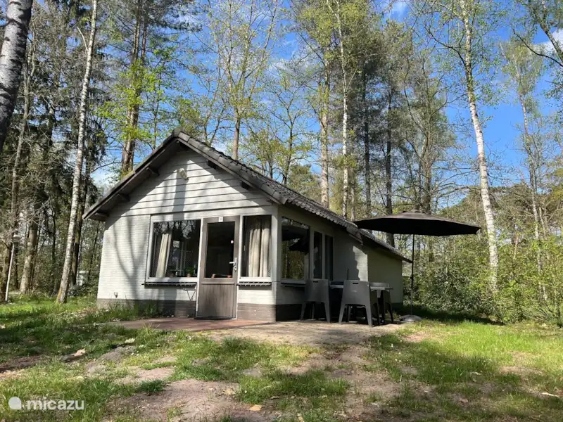 Erizo de la Casa del Bosque en Países Bajos, Limburgo, Stramproy - Bungaló Erizo de la Casa del Bosque en Países Bajos, Limburgo, Stramproy - Bungaló