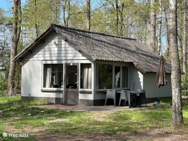 Erizo de la Casa del Bosque en Países Bajos, Limburgo, Stramproy - bungaló Bungalow forestal Hedgehog