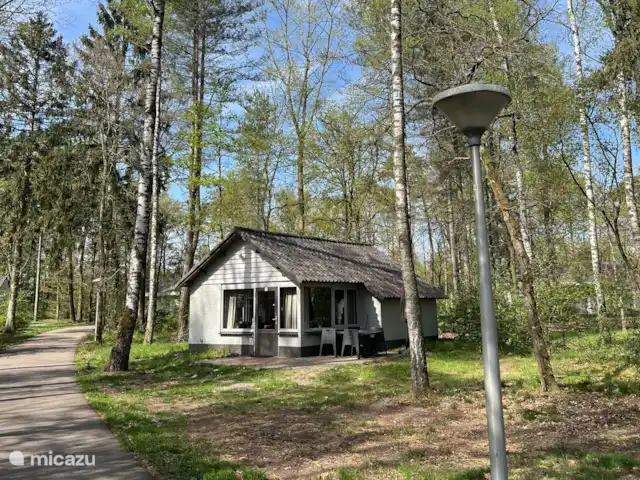Erizo de la Casa del Bosque en Países Bajos, Limburgo, Stramproy - bungaló Las casas de este parque de vacaciones están tan alejadas entre sí, como si estuvieras sentado solo en el bosque.