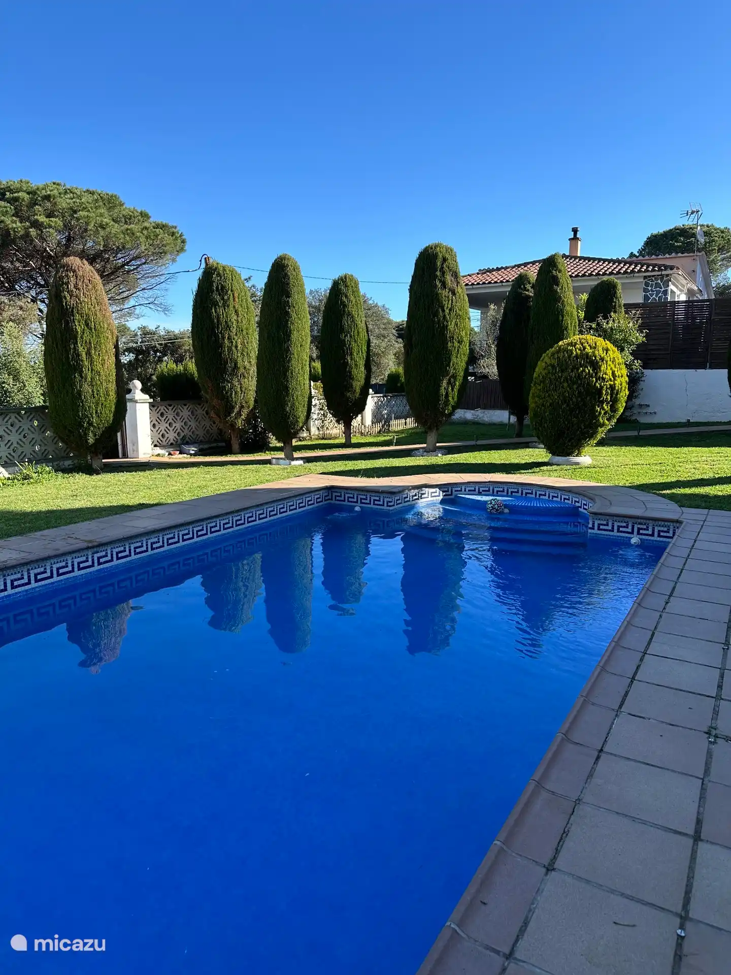 Swimming pool and part of the garden 