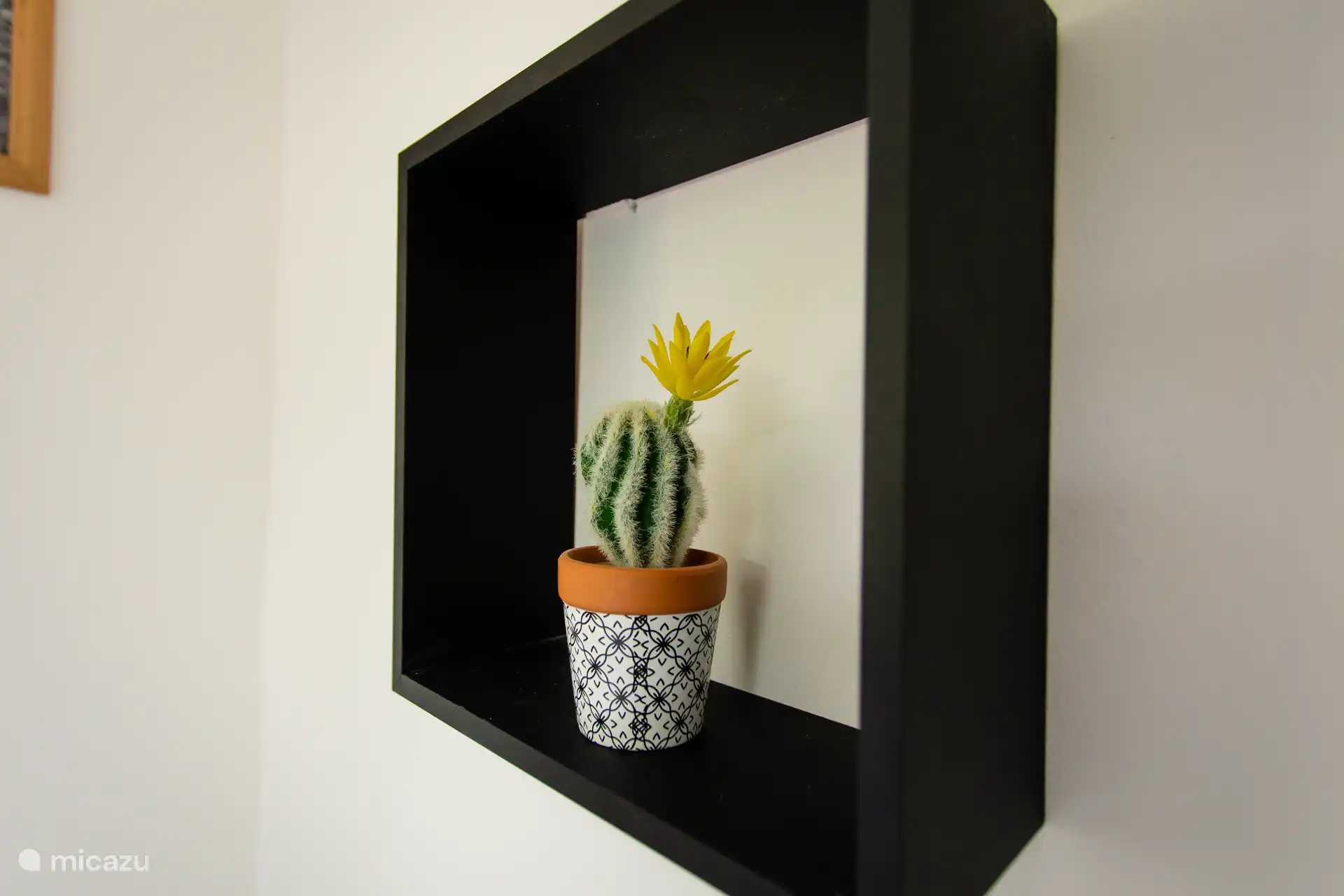 Small cactus detail in a floating frame adds a playful and tropical touch to the apartment’s decor.