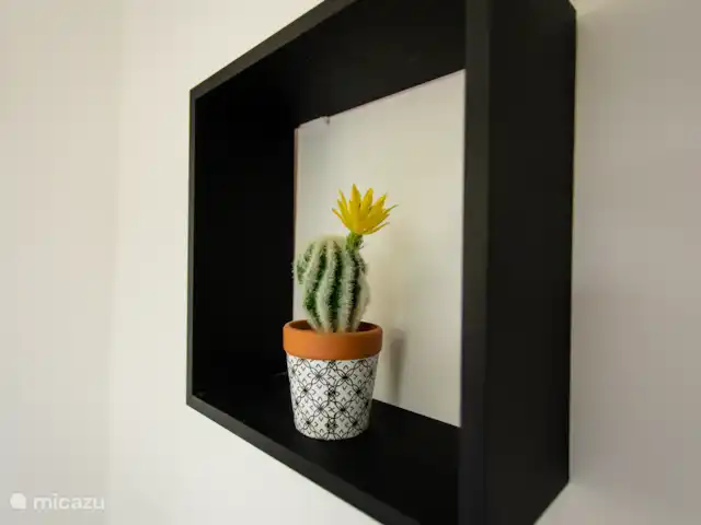 Vue sur l’océan tropical  | Curaçao, Banda Abou (ouest), Westpunt - appartement De petits détails de cactus dans un cadre flottant ajoutent une touche ludique et tropicale à la décoration de l’appartement.