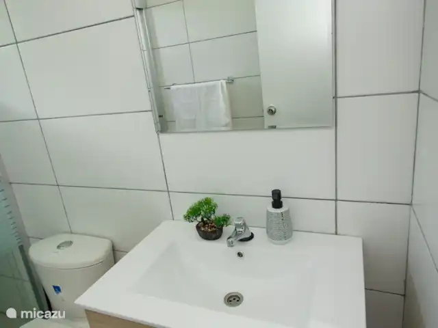 Vue sur l’océan tropical  | Curaçao, Banda Abou (ouest), Westpunt - appartement Évier moderne avec meuble-lavabo en bois et miroir - simple, propre et bien éclairé avec un décor élégant.