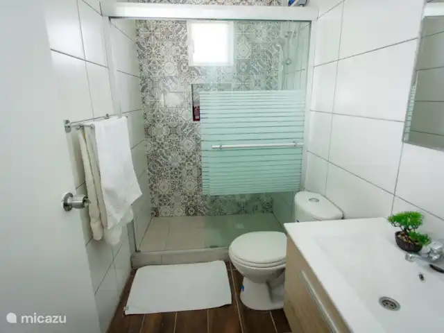 Vue sur l’océan tropical  | Curaçao, Banda Abou (ouest), Westpunt - appartement Douche à l’italienne spacieuse avec carrelage décoratif, verre dépoli et articles de toilette propres.