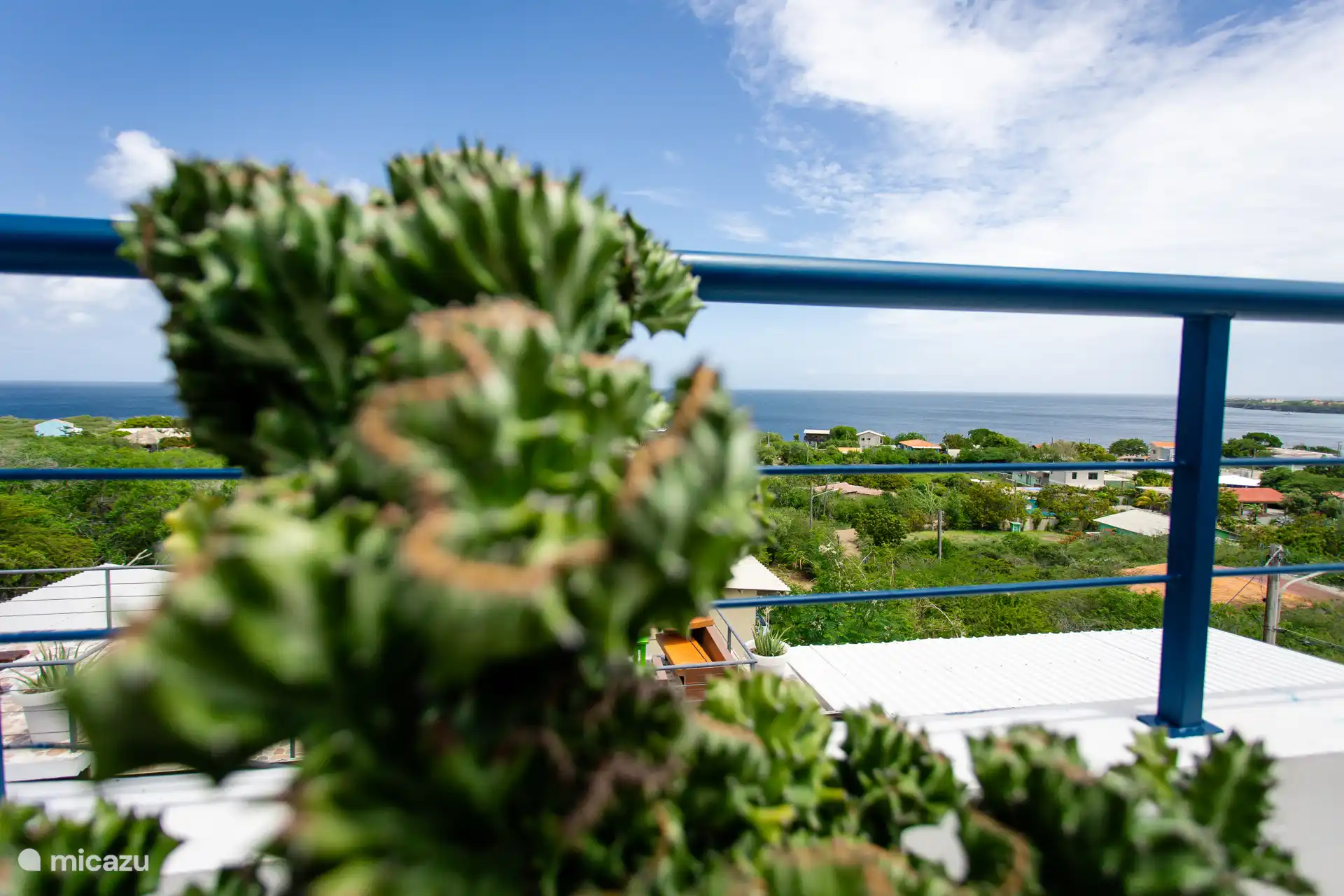 Künstlerische Aufnahme eines Kaktus im Vordergrund, der einen weiten Meerblick und eine friedliche Umgebung zeigt.