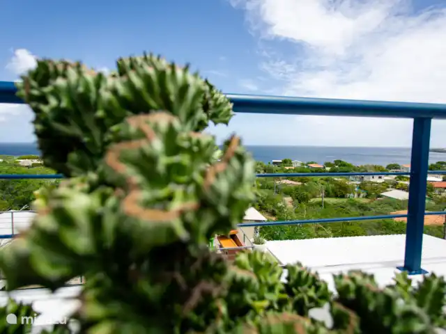 Retraite avec vue sur l’océan tropical | Curaçao, Banda Abou (ouest), Westpunt - appartement Photo artistique de cactus au premier plan, révélant une vue imprenable sur la mer et un environnement paisible.
