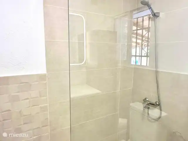 villa huren in Spanje, Andalusië, Viñuela – Villa los Romanes Douche