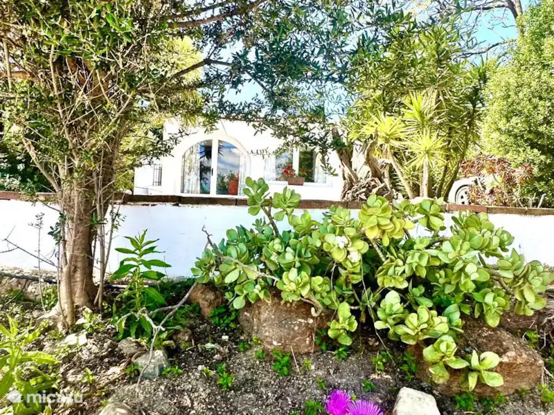 Villa los Romanes huren in Spanje, Andalusië, Viñuela - Villa Villa los Romanes huren in Spanje, Andalusië, Viñuela - Villa