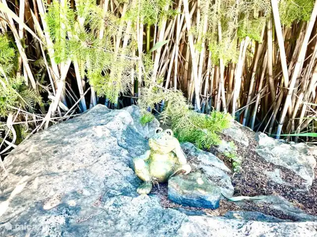 villa huren in Spanje, Andalusië, Viñuela – Villa los Romanes Kikker bij pool