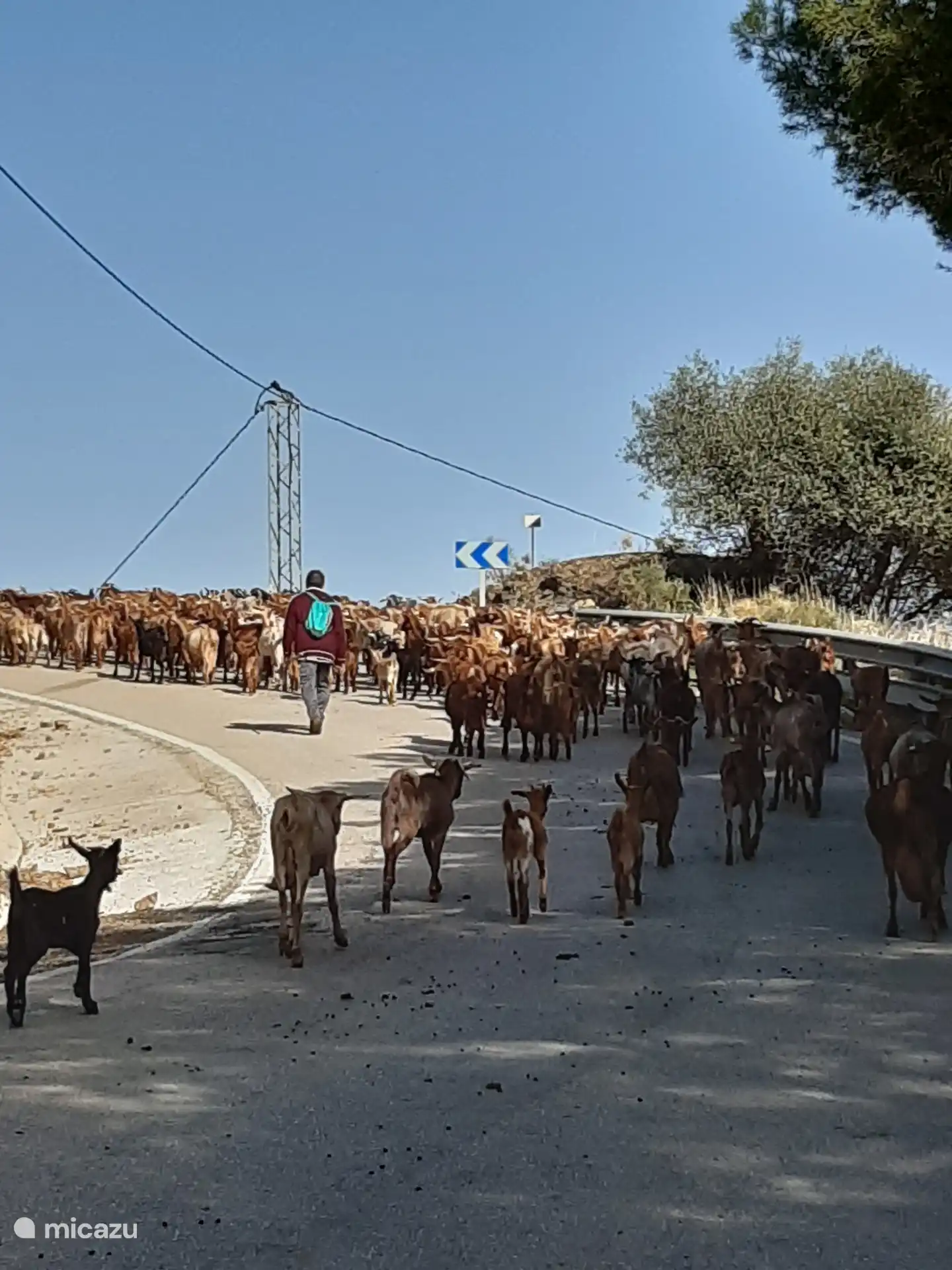 Fichier local possible :-)