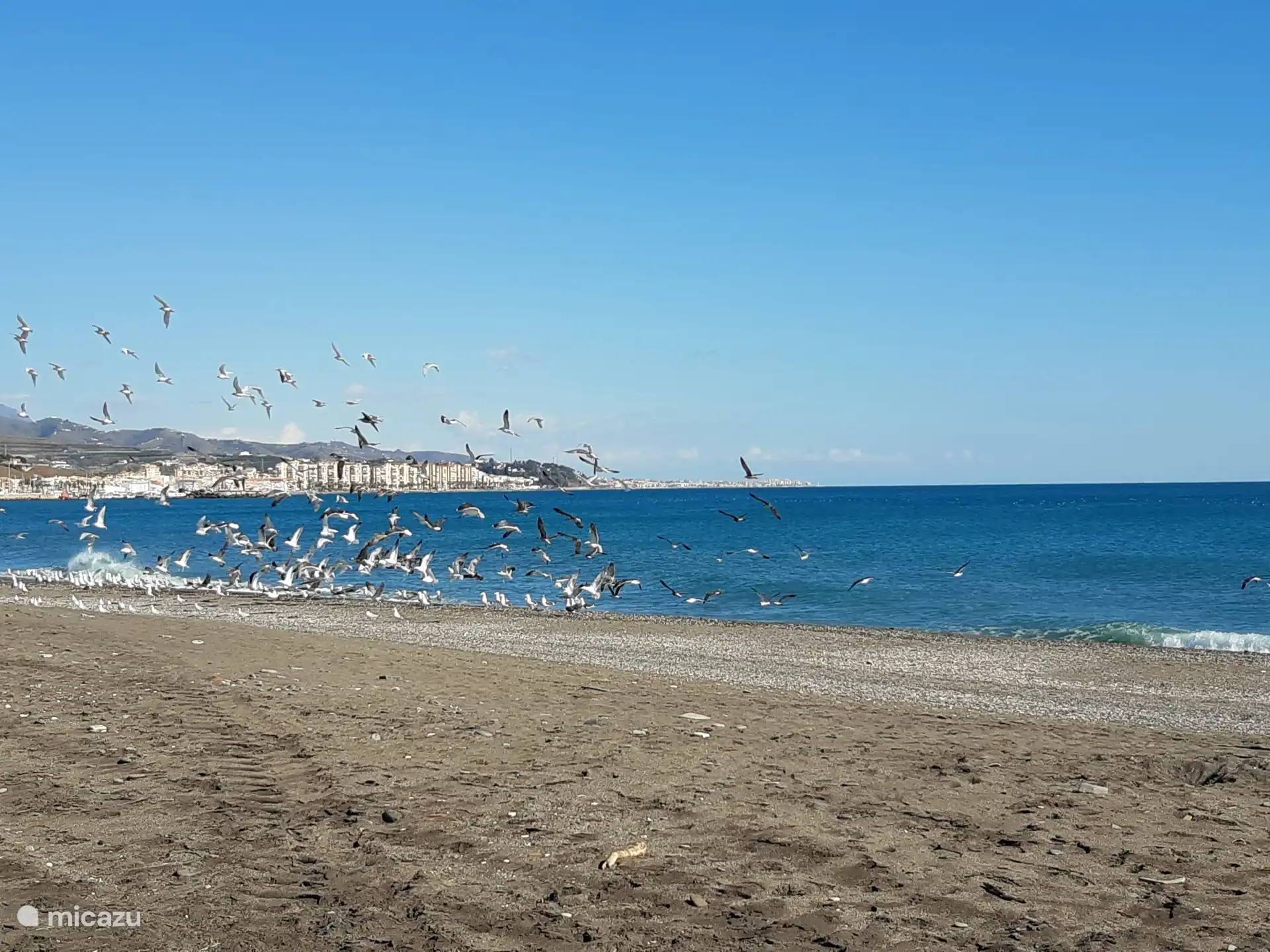 plage de Torre del Mar