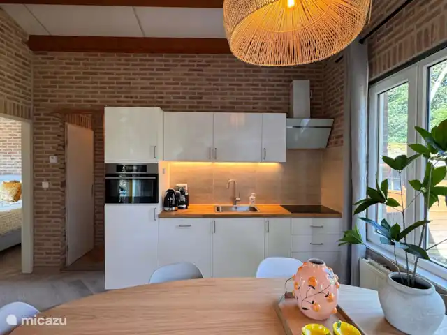 Villa Frans | Pays-Bas, Zélande, Renesse - maison de vacances Cuisine moderne avec beaucoup de lumière et tout à portée de main. Commencez votre matinée ici avec un café et une vue sur le jardin - profitez-en !