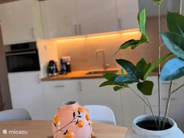 Villa Frans | Pays-Bas, Zélande, Renesse - maison de vacances Un détail plein d’atmosphère : des accents orangés, des plantes vertes et une cuisine qui vous invite à cuisiner et à dîner ensemble.