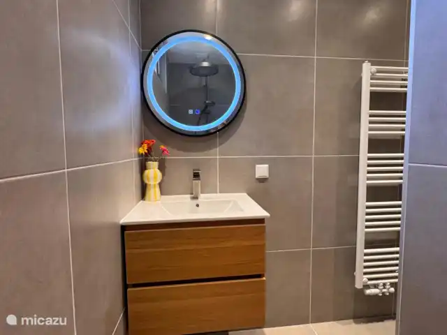 Villa Frans | Pays-Bas, Zélande, Renesse - maison de vacances Évier élégant avec miroir rond et un vase joyeux. Petit détail, grande différence !