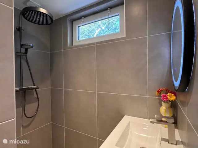 Villa Frans | Pays-Bas, Zélande, Renesse - maison de vacances Douche à effet pluie avec lumière du jour et aspect luxueux. Profitez d’une douche chaude après une journée à la plage ou en forêt.