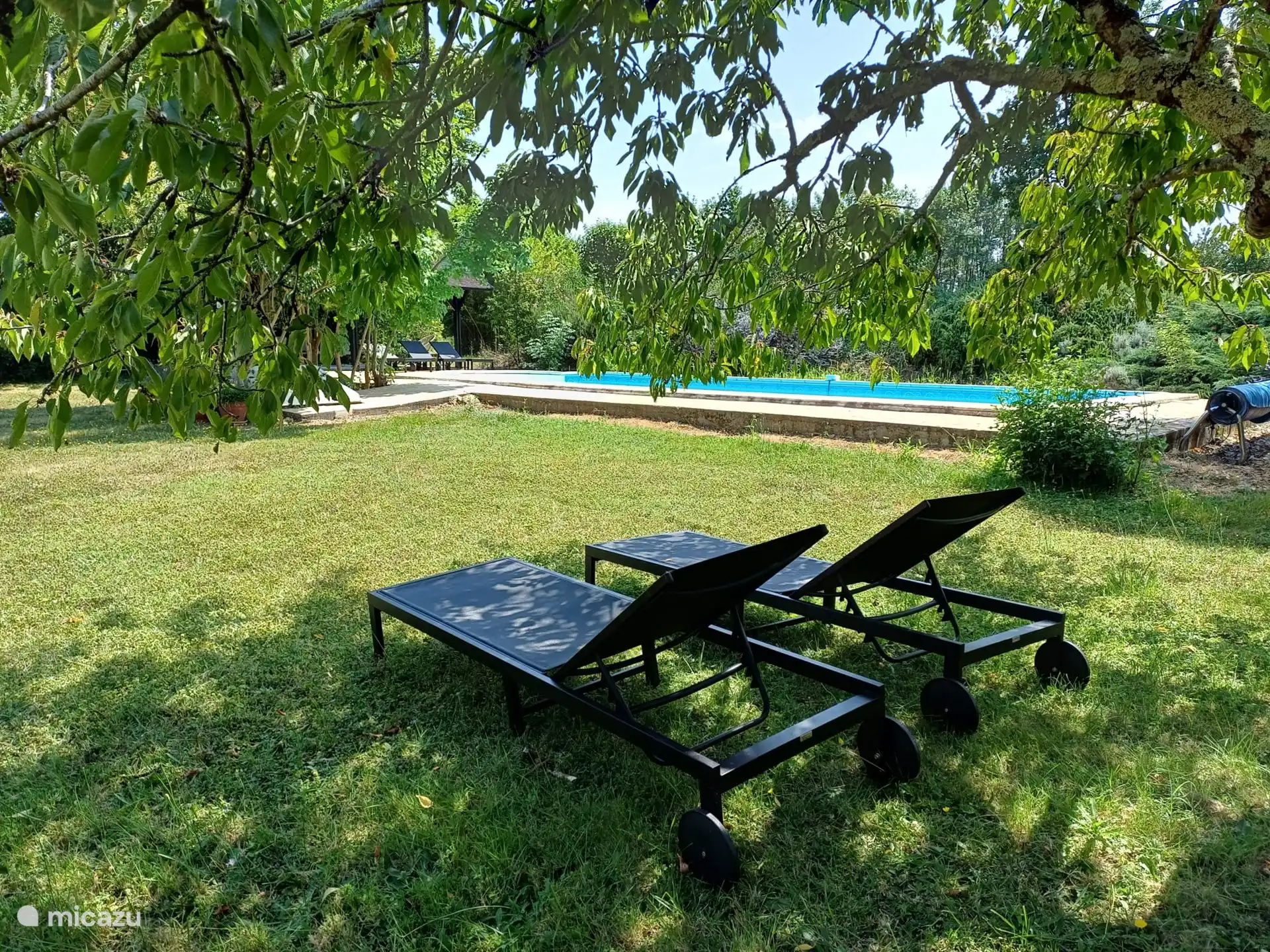 Piscine et jardin