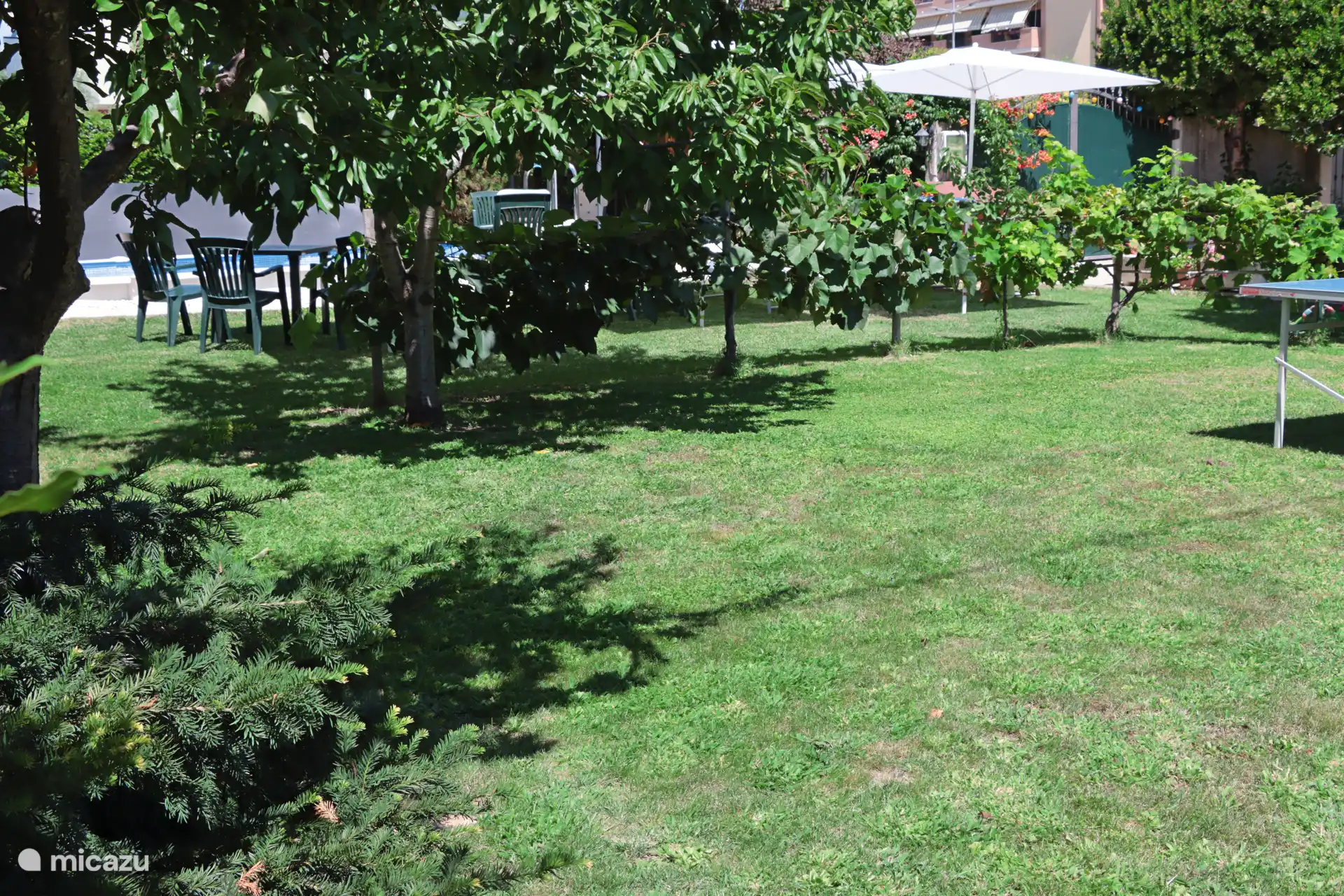 Nuestro gran jardín está a su disposición.