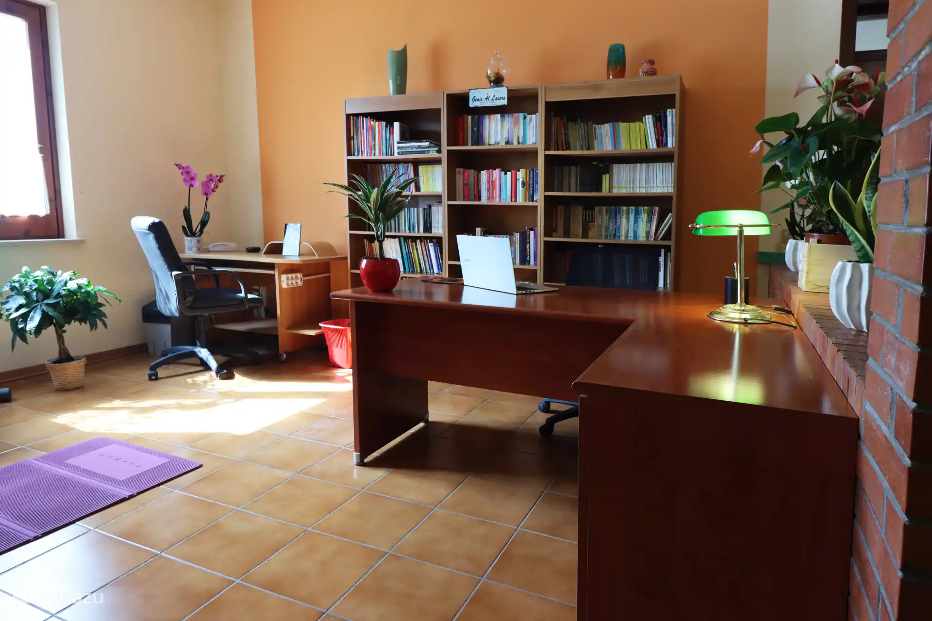 El estudio multifuncional, luminoso y espacioso.