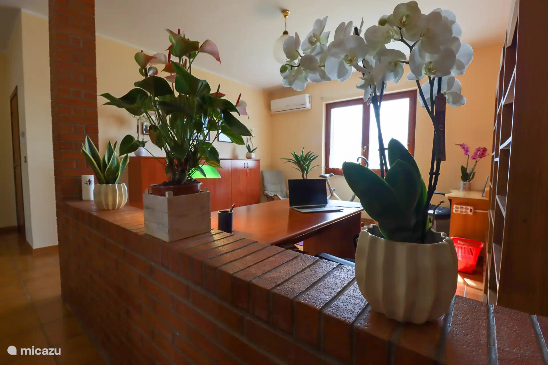 El estudio multifuncional, luminoso y espacioso.