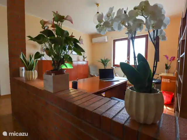 Osy Casa Vacanze huren in Italië, Abruzzen, Corropoli - appartement De multifunctionele, lichte en ruime studio.