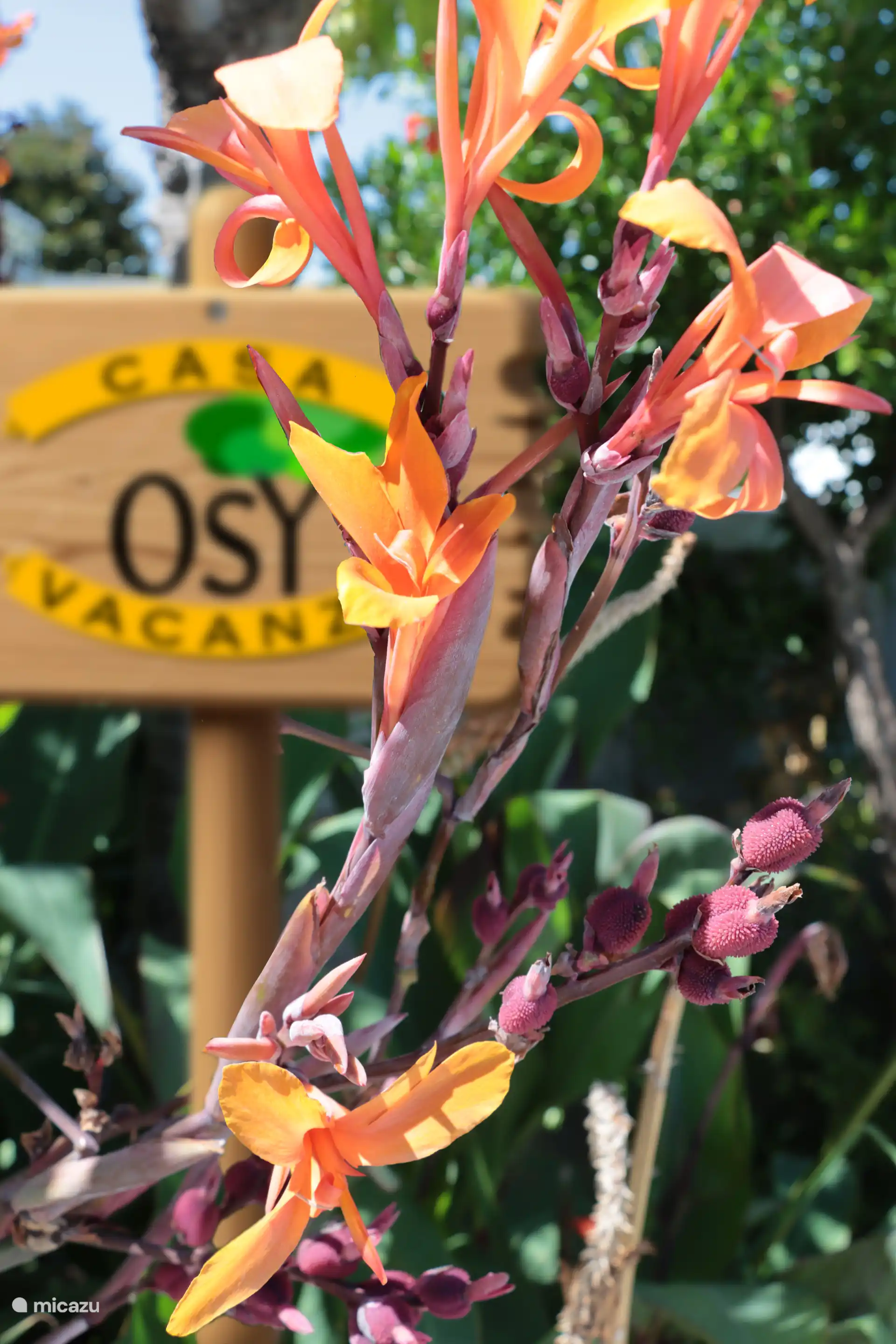 El color y la naturaleza son la inspiración de nuestro logotipo.