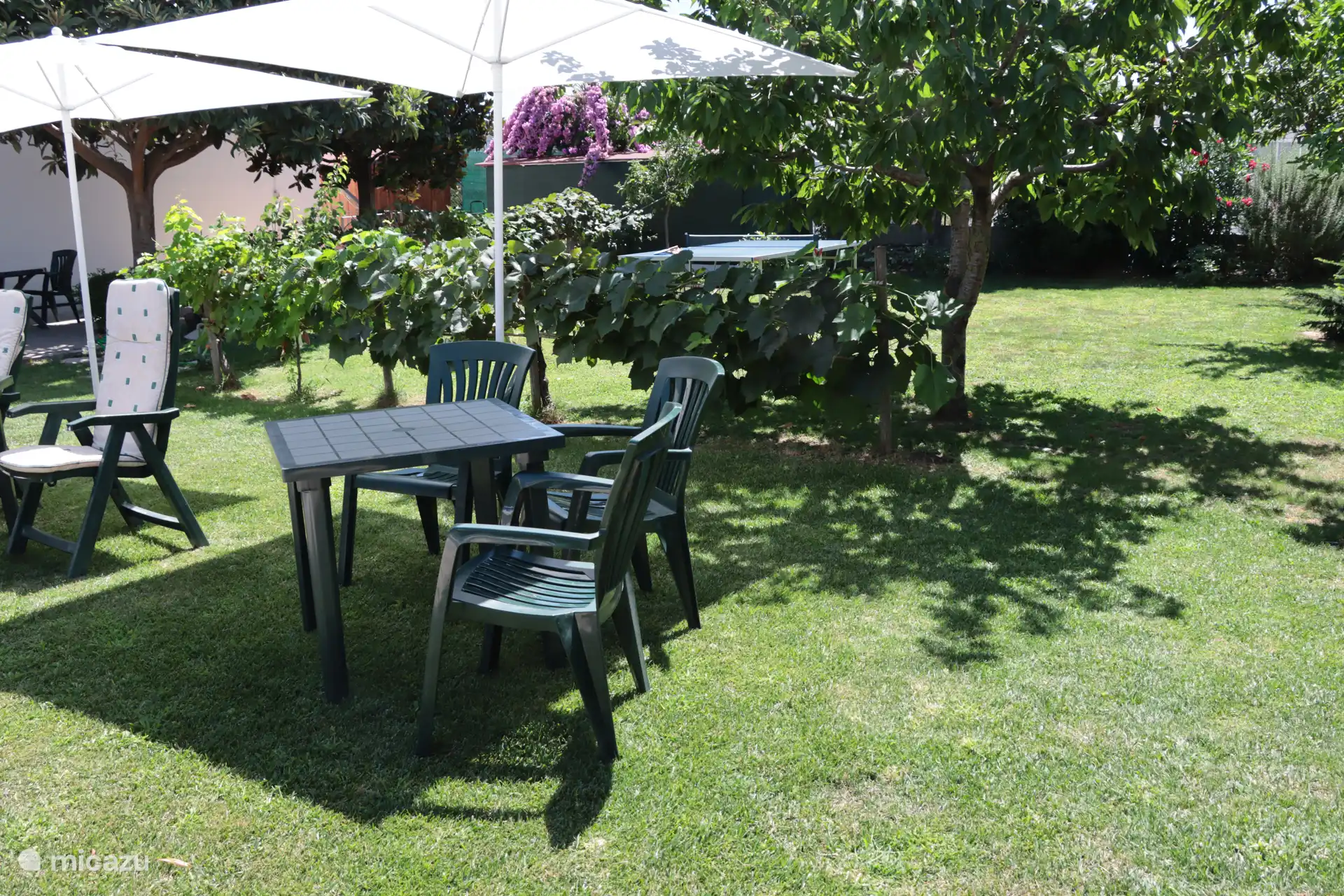 Las sombrillas proporcionan sombra y frescor.