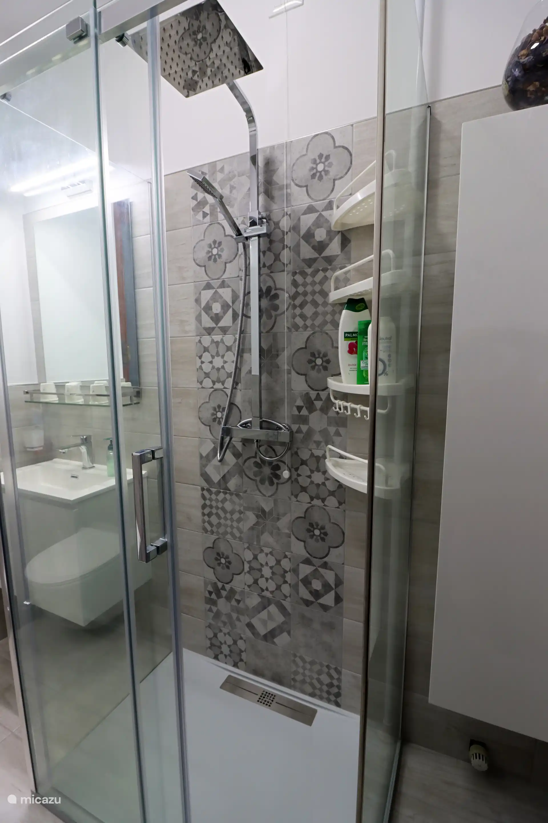 Detalle de la ducha (70x100 cm) del baño situado en la zona de estar.