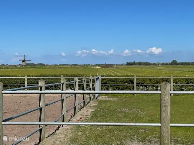 La salle du jardin d’Egmond | Pays-Bas, Hollande du Nord, Egmond aan den Hoef - maison de vacances Vue