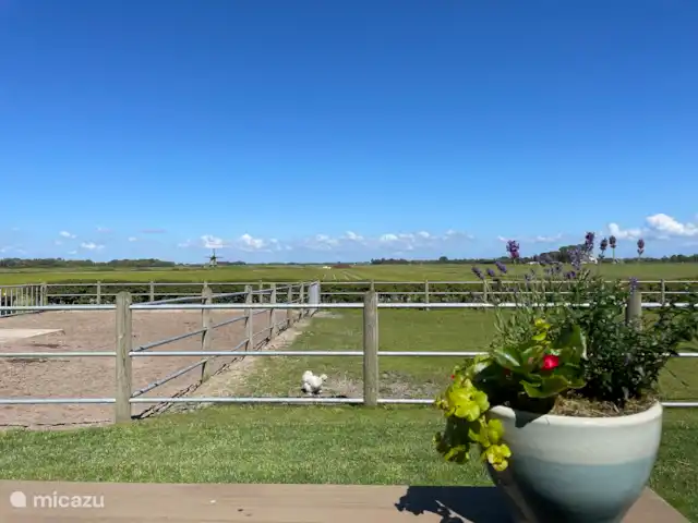 La salle du jardin d’Egmond | Pays-Bas, Hollande du Nord, Egmond aan den Hoef - maison de vacances Vue