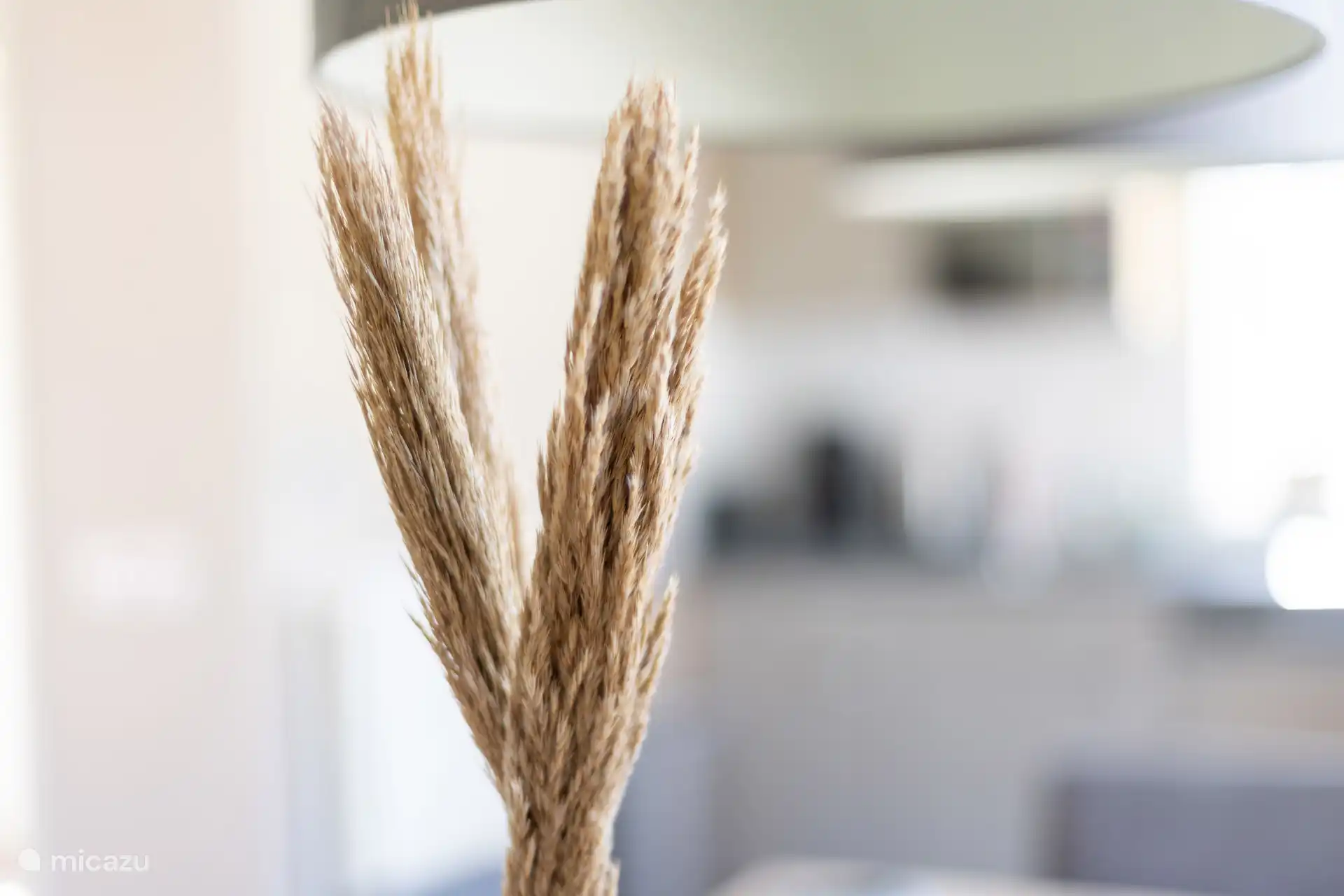 Bienvenue au Duindoorn 9