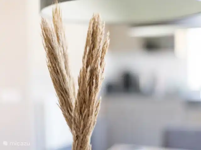 Maison de vacances Duindoorn 9  | Pays-Bas, Zélande, Kamperland - maison de vacances Bienvenue au Duindoorn 9