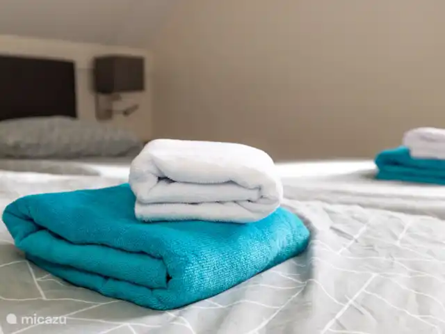 Maison de vacances Duindoorn 9  | Pays-Bas, Zélande, Kamperland - maison de vacances Linge de maison disponible en option